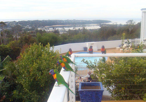 Motel Kingfisher (adults Only) Merimbula